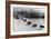 Dog Team Photograph - Alaska-Lantern Press-Framed Art Print