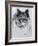 Dog Ten-Rusty Frentner-Framed Giclee Print