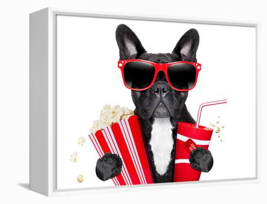 Dog to the Movies-Javier Brosch-Framed Premier Image Canvas