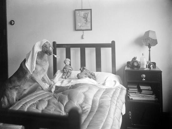 Photographic Print, , large