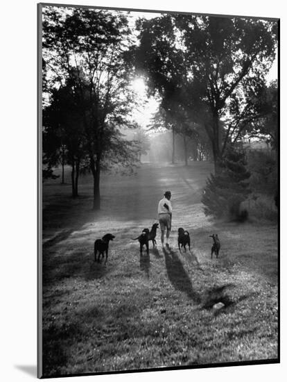 Dog Trainer Paul Bakewell Iii Taking Dogs for a Run-null-Mounted Photographic Print