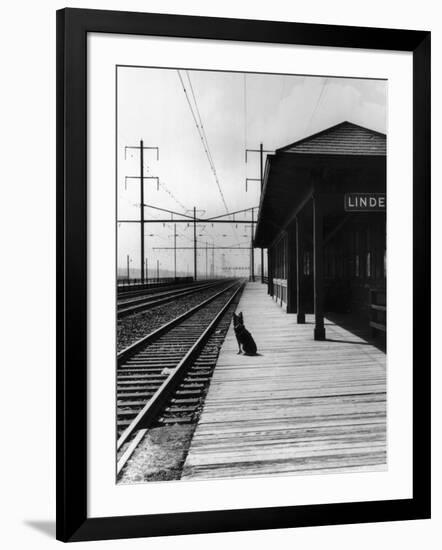 Photographic Print, , large