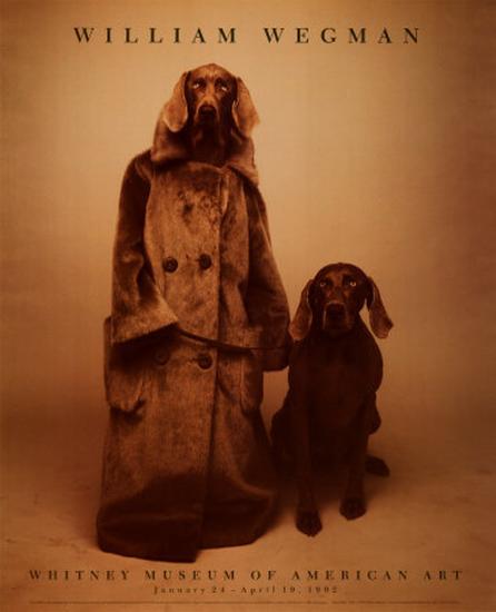 Dog Walker Art Print by William Wegman | Art.com