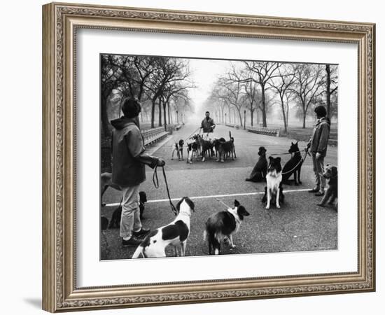 Dog Walkers in Central Park-Alfred Eisenstaedt-Framed Photographic Print