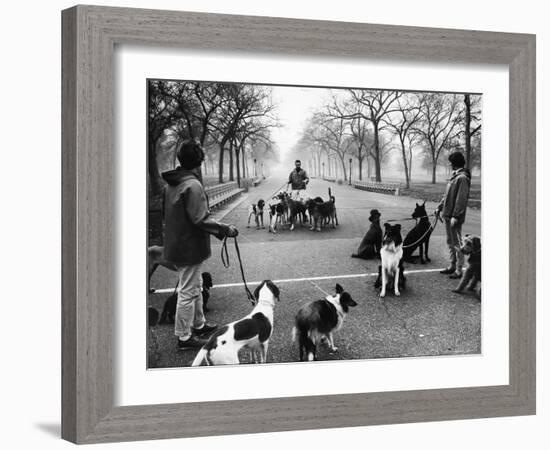 Dog Walkers in Central Park-Alfred Eisenstaedt-Framed Photographic Print