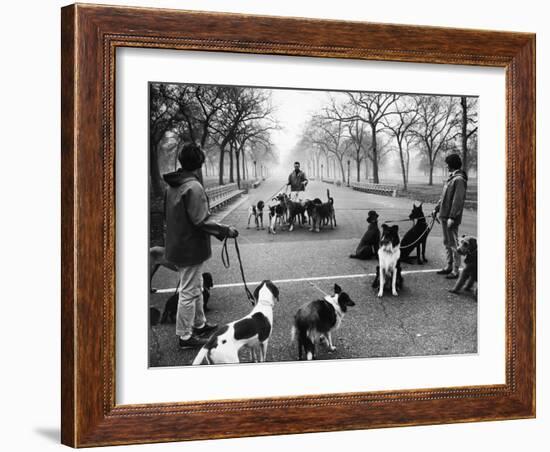 Dog Walkers in Central Park-Alfred Eisenstaedt-Framed Photographic Print