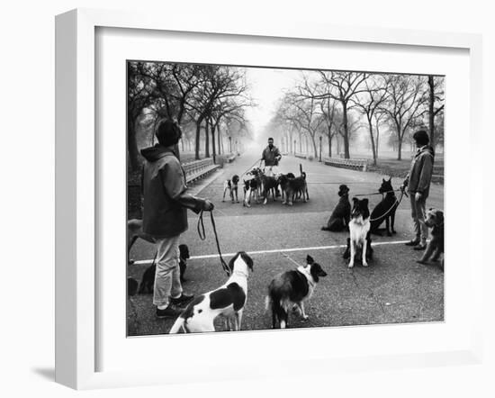 Dog Walkers in Central Park-Alfred Eisenstaedt-Framed Photographic Print