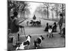Dog Walkers in Central Park-Alfred Eisenstaedt-Mounted Photographic Print