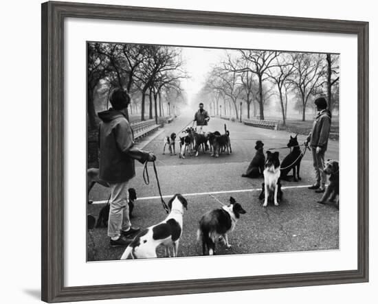 Dog Walkers in Central Park-Alfred Eisenstaedt-Framed Photographic Print