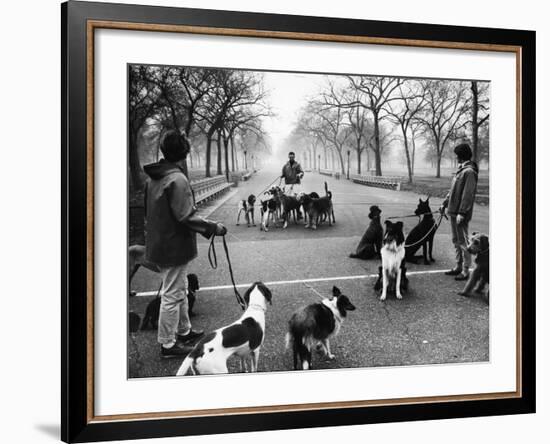 Dog Walkers in Central Park-Alfred Eisenstaedt-Framed Photographic Print