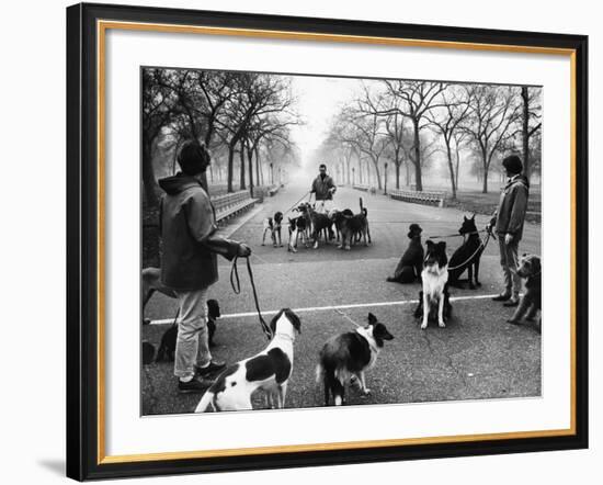 Dog Walkers in Central Park-Alfred Eisenstaedt-Framed Photographic Print