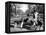 Dog Walkers in Central Park-Alfred Eisenstaedt-Framed Premier Image Canvas