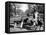 Dog Walkers in Central Park-Alfred Eisenstaedt-Framed Premier Image Canvas