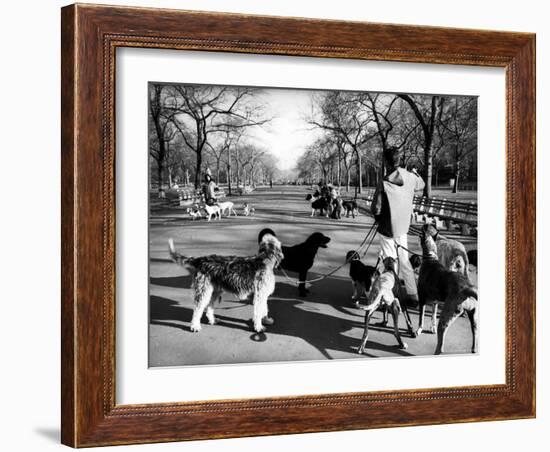 Dog Walkers in Central Park-Alfred Eisenstaedt-Framed Photographic Print