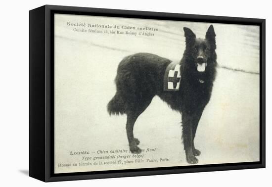 Dog War Work Red Cross-null-Framed Premier Image Canvas