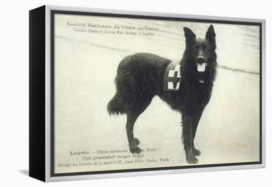 Dog War Work Red Cross-null-Framed Premier Image Canvas