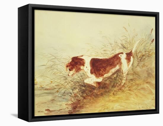 Dog Watching a Rat in the Water at Dedham-John Constable-Framed Premier Image Canvas