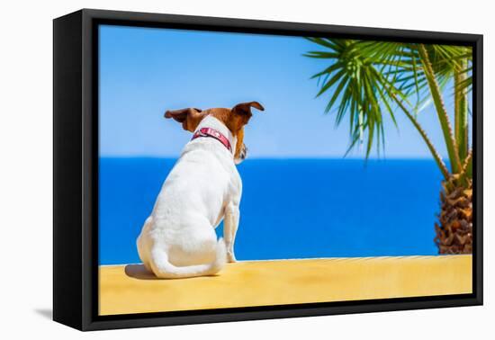 Dog Watching-Javier Brosch-Framed Premier Image Canvas