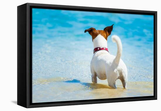 Dog Watching-Javier Brosch-Framed Premier Image Canvas