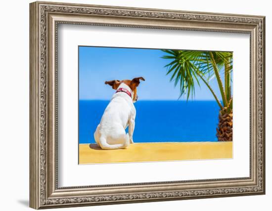 Dog Watching-Javier Brosch-Framed Photographic Print