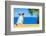 Dog Watching-Javier Brosch-Framed Photographic Print