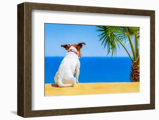 Dog Watching-Javier Brosch-Framed Photographic Print