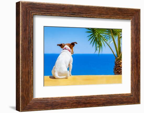 Dog Watching-Javier Brosch-Framed Photographic Print