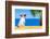 Dog Watching-Javier Brosch-Framed Photographic Print