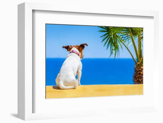 Dog Watching-Javier Brosch-Framed Photographic Print