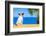 Dog Watching-Javier Brosch-Framed Photographic Print