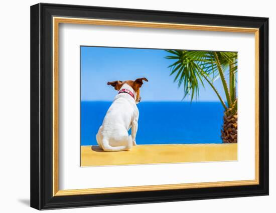 Dog Watching-Javier Brosch-Framed Photographic Print