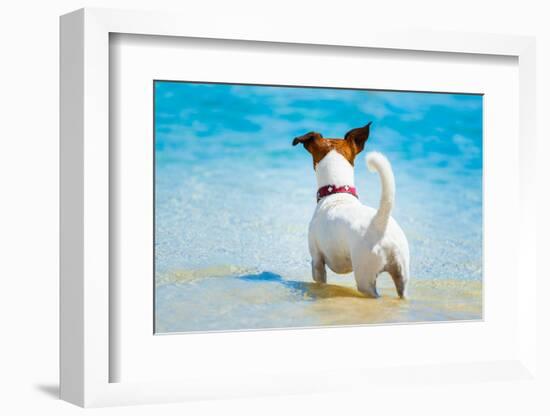 Dog Watching-Javier Brosch-Framed Photographic Print