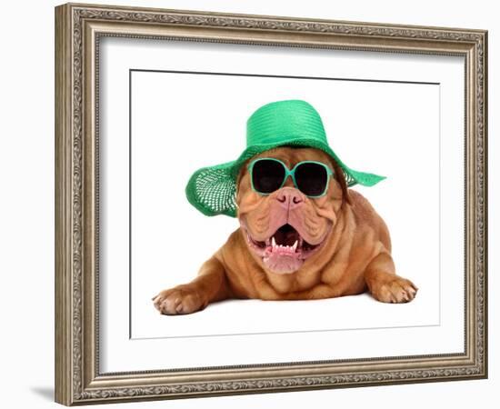 Dog Wearing Green Straw Hat And Sun Glasses, Isolated-vitalytitov-Framed Photographic Print