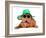 Dog Wearing Green Straw Hat And Sun Glasses, Isolated-vitalytitov-Framed Photographic Print