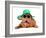 Dog Wearing Green Straw Hat And Sun Glasses, Isolated-vitalytitov-Framed Photographic Print