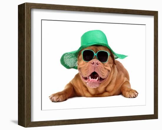 Dog Wearing Green Straw Hat And Sun Glasses, Isolated-vitalytitov-Framed Photographic Print