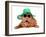 Dog Wearing Green Straw Hat And Sun Glasses, Isolated-vitalytitov-Framed Photographic Print