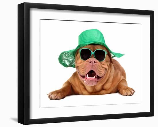 Dog Wearing Green Straw Hat And Sun Glasses, Isolated-vitalytitov-Framed Photographic Print