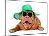 Dog Wearing Green Straw Hat And Sun Glasses, Isolated-vitalytitov-Mounted Photographic Print