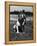 Dog Wearing Helmet on Football Field-Bettmann-Framed Premier Image Canvas