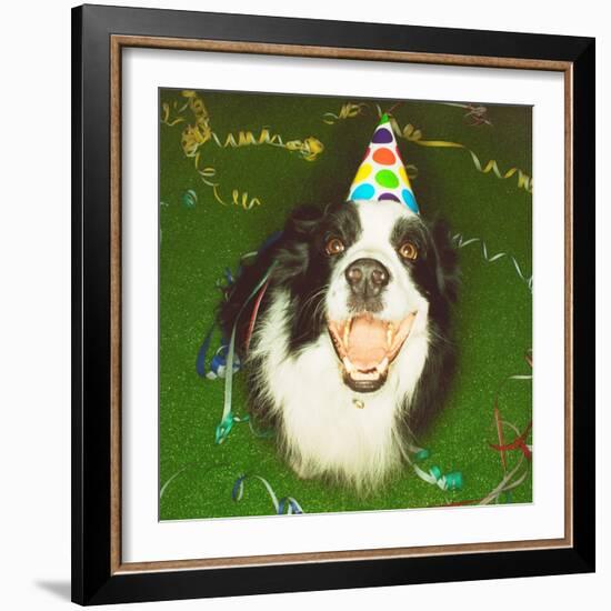 Dog Wearing Party Hat-Leland Bobbé-Framed Photographic Print