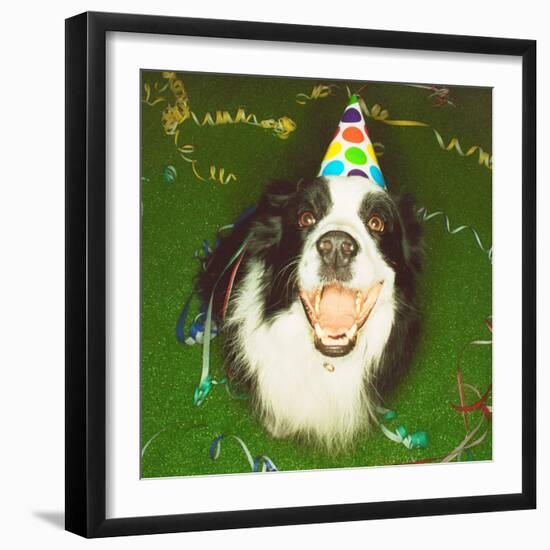 Dog Wearing Party Hat-Leland Bobbé-Framed Photographic Print