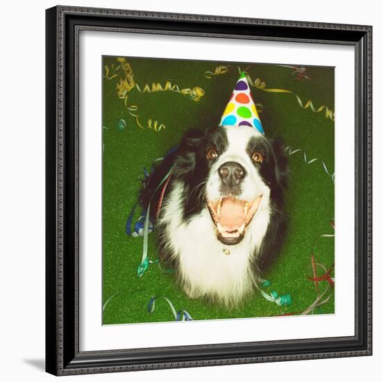 Dog Wearing Party Hat-Leland Bobbé-Framed Photographic Print