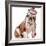 Dog Wearing Winter Hat-Willee Cole-Framed Photographic Print