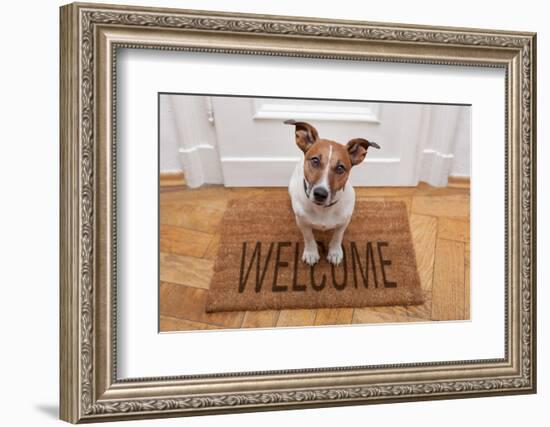 Dog Welcome Home-Javier Brosch-Framed Photographic Print