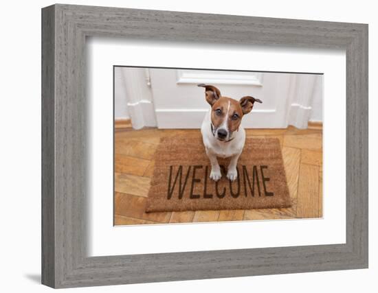 Dog Welcome Home-Javier Brosch-Framed Photographic Print