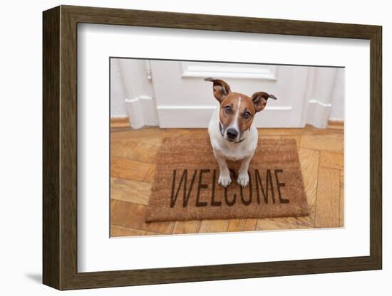 Dog Welcome Home-Javier Brosch-Framed Photographic Print