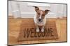 Dog Welcome Home-Javier Brosch-Mounted Photographic Print