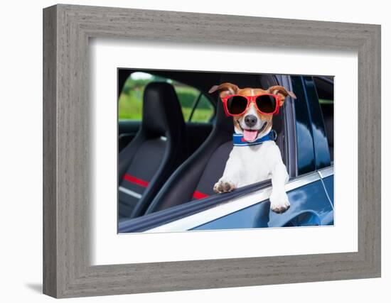 Dog Window Car-Javier Brosch-Framed Photographic Print