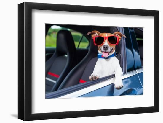 Dog Window Car-Javier Brosch-Framed Photographic Print